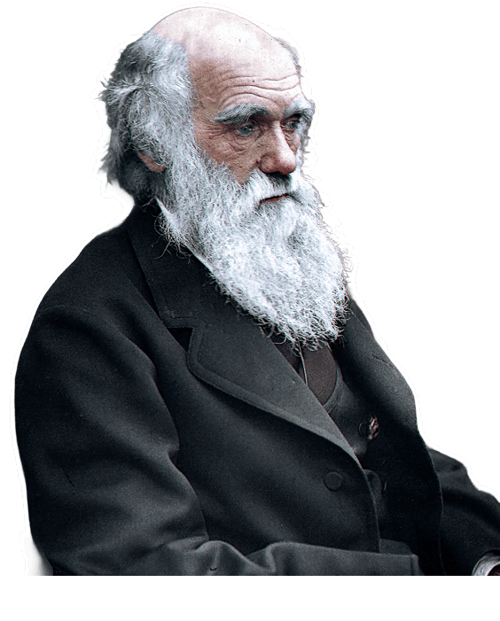 Technology Darwinism